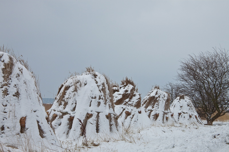 _mg_3885.jpg