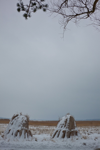 _mg_3888.jpg