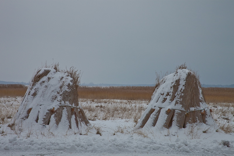 _mg_3890.jpg