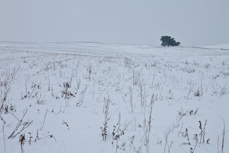 _mg_3908.jpg
