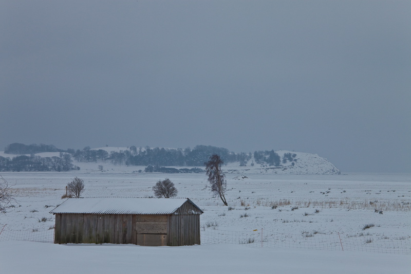 _mg_3916.jpg
