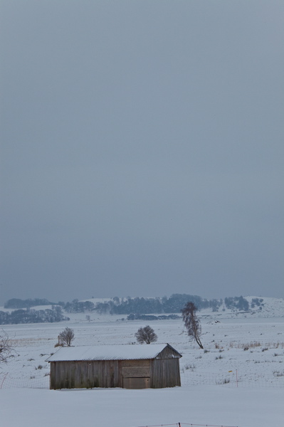 _mg_3919.jpg