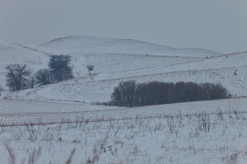 _mg_3920.jpg