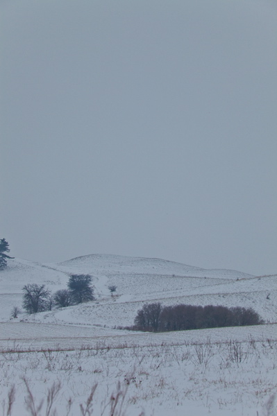 _mg_3921.jpg