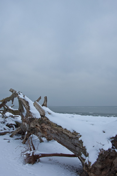 _mg_3927.jpg