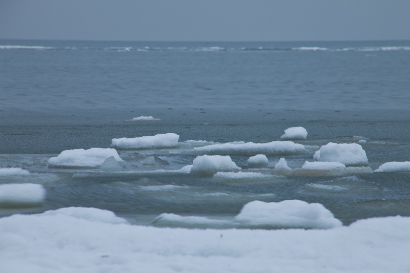 _mg_3933.jpg