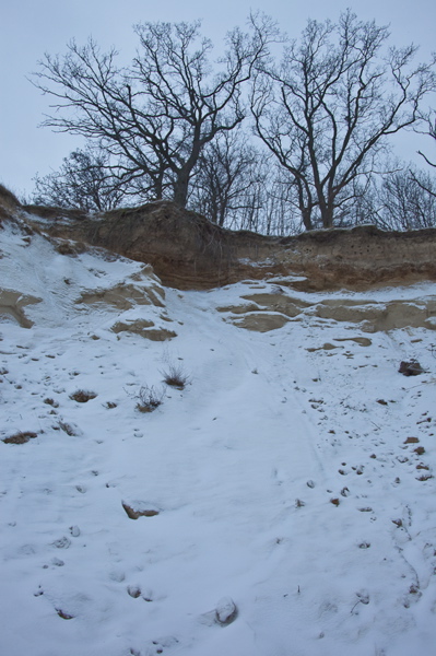_mg_3935.jpg