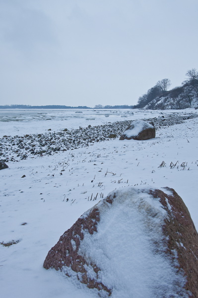_mg_3937.jpg