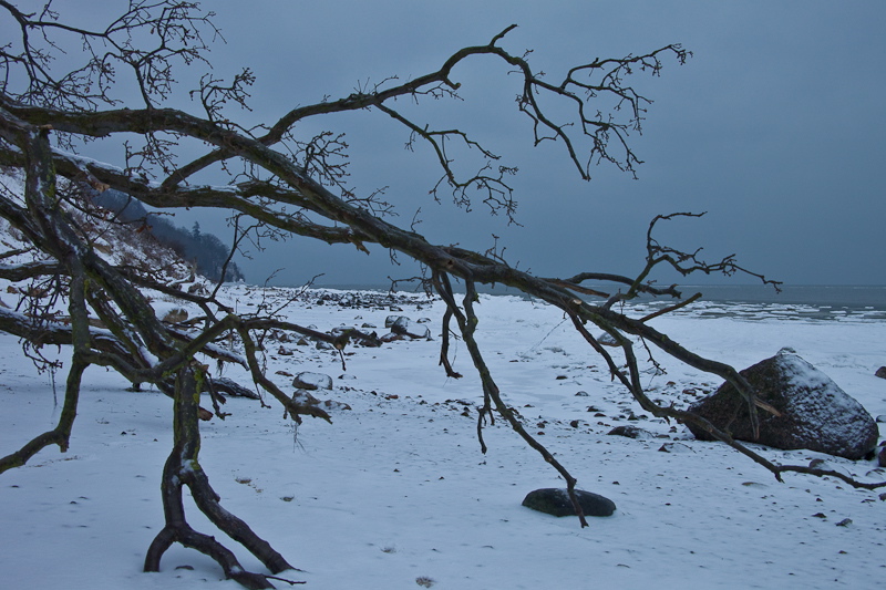 _mg_3941.jpg