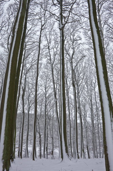 _mg_3971.jpg