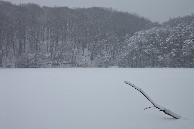 _mg_3977.jpg