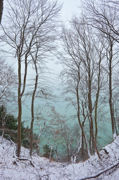 _mg_3984.jpg