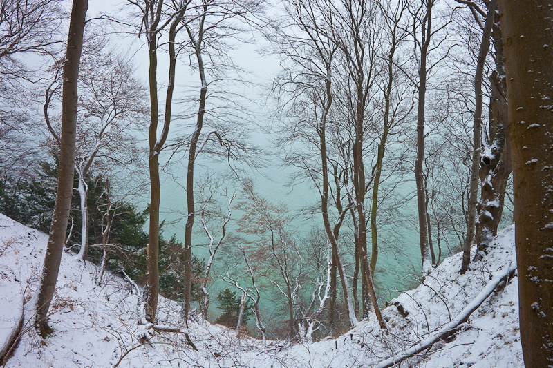 _mg_3985.jpg