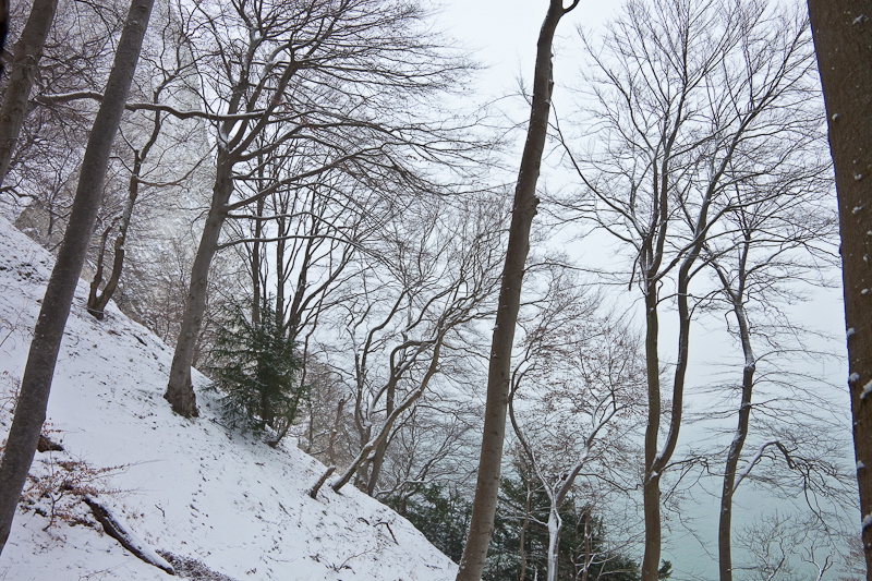 _mg_3988.jpg