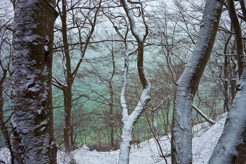 _mg_3990.jpg