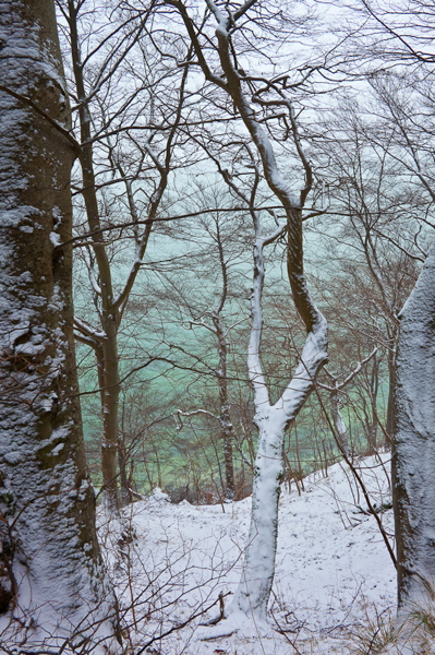 _mg_3991.jpg