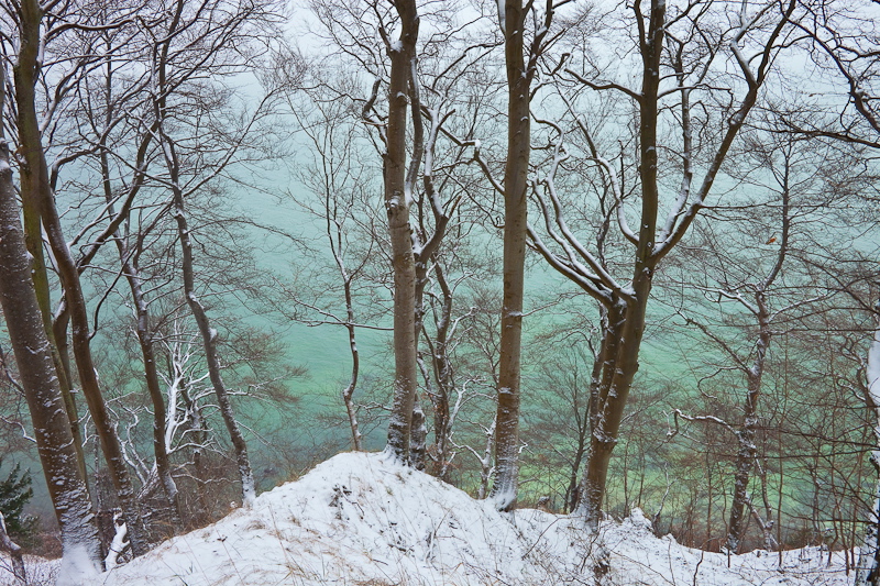 _mg_3994.jpg
