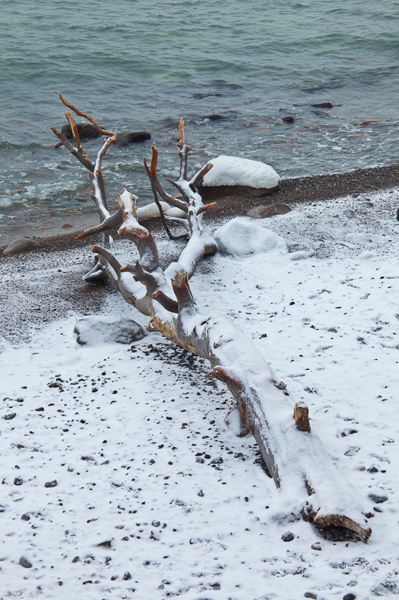 _mg_3997.jpg