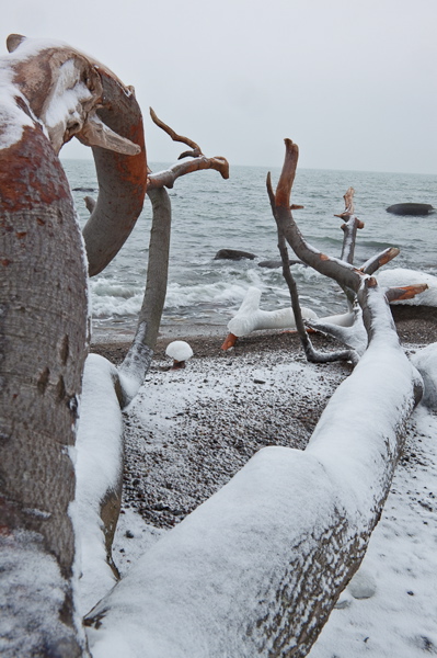 _mg_4018.jpg