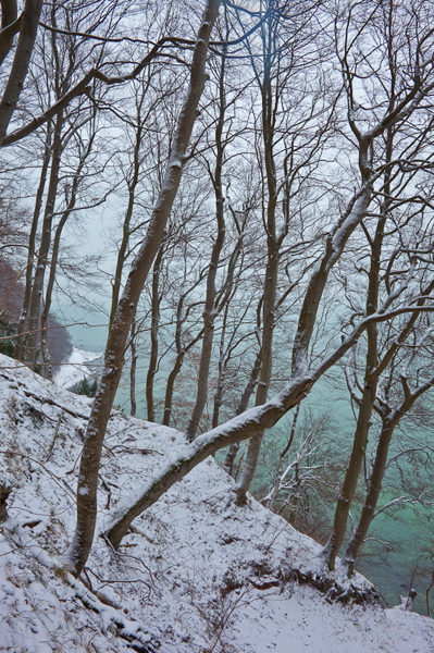 _mg_4093.jpg