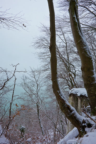 _mg_4097.jpg