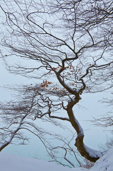 _mg_4098.jpg