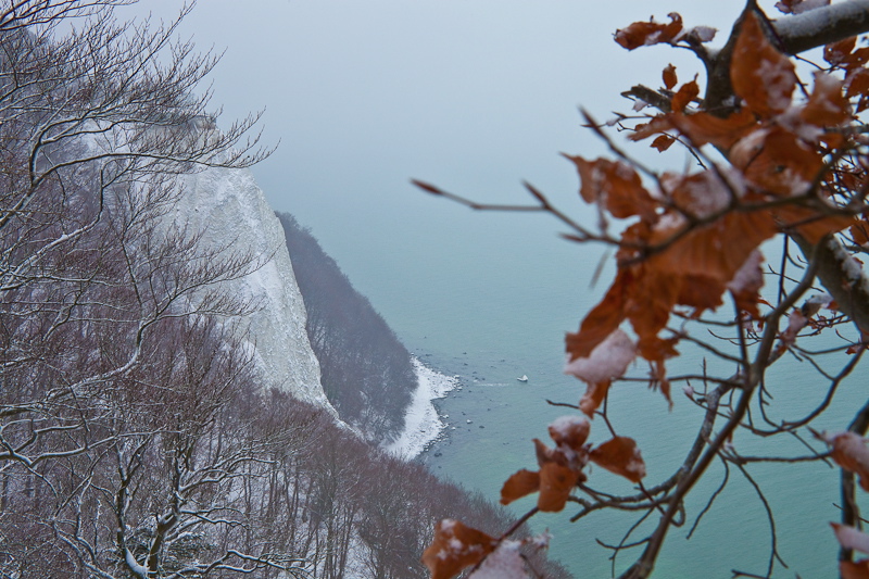 _mg_4102.jpg