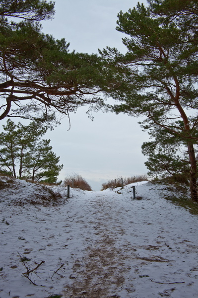 _mg_4117.jpg