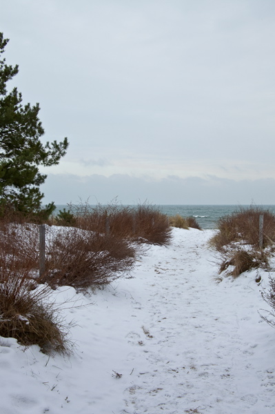 _mg_4120.jpg