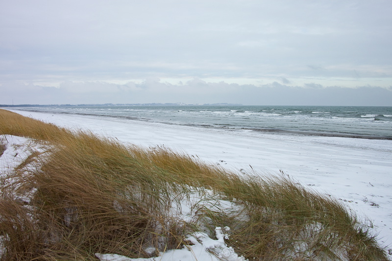 _mg_4124.jpg