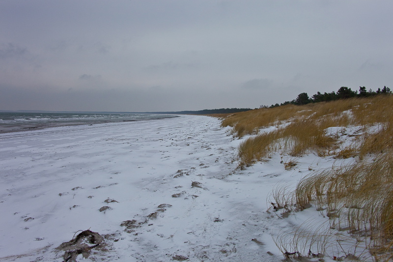 _mg_4126.jpg