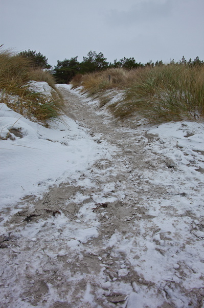 _mg_4136.jpg