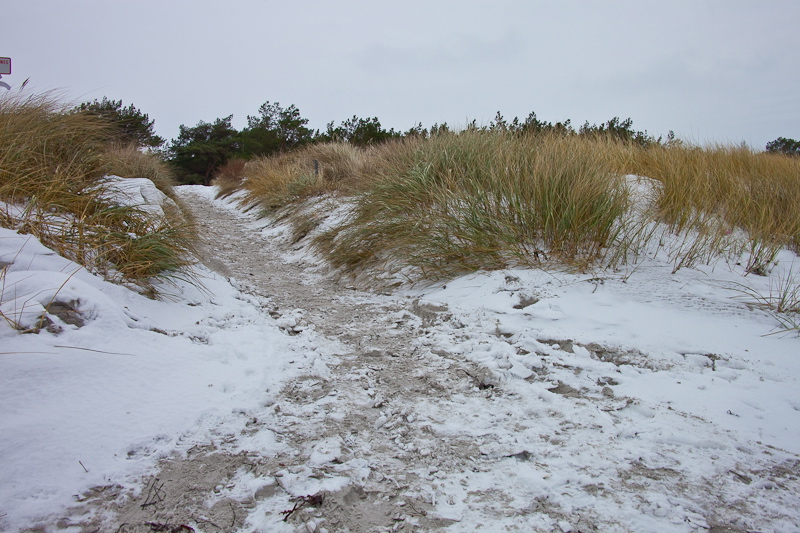 _mg_4139.jpg