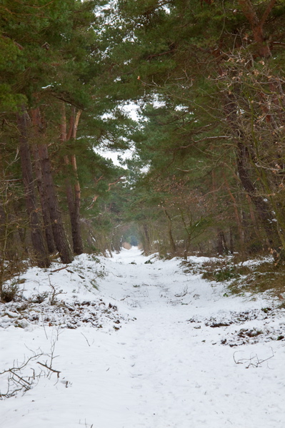 _mg_4162.jpg