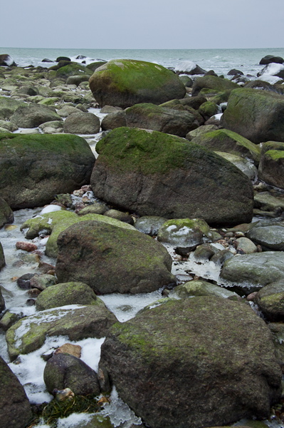 _mg_4206.jpg