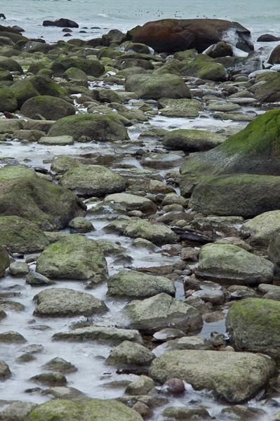_mg_4229.jpg