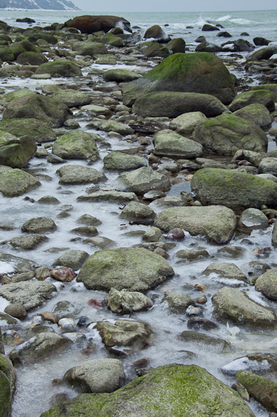 _mg_4231.jpg