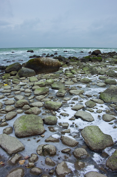 _mg_4246.jpg