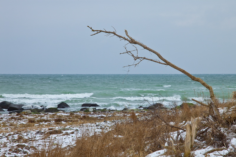 _mg_4250.jpg