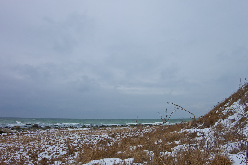 _mg_4253.jpg