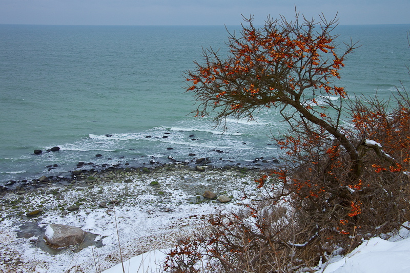 _mg_4260.jpg