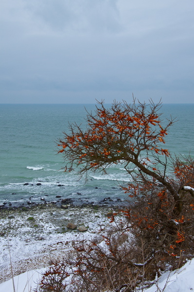 _mg_4261.jpg