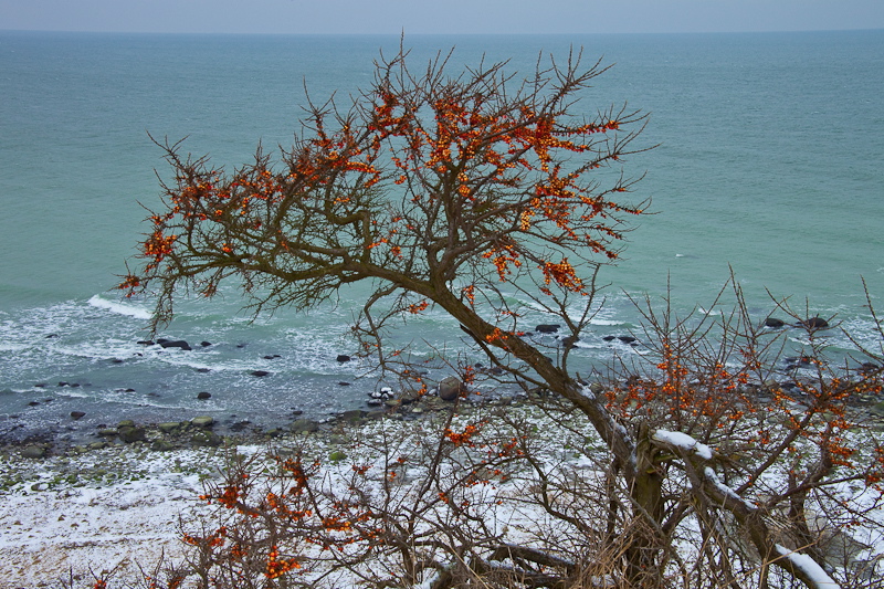 _mg_4264.jpg