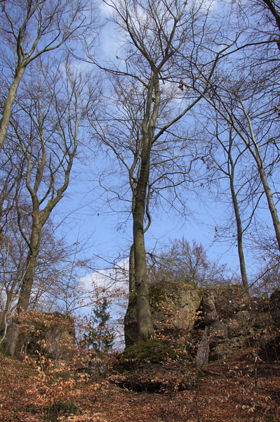010222.jpg