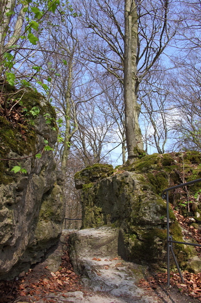 010226.jpg
