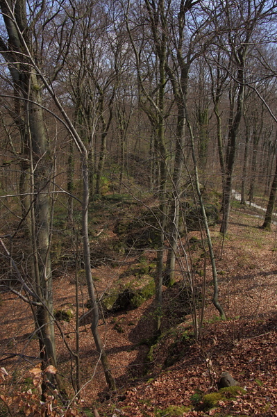 010230.jpg