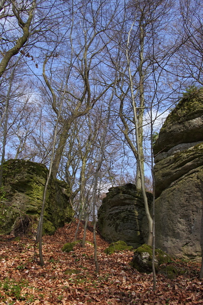 010237.jpg
