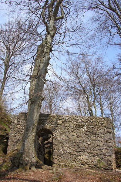 010275.jpg