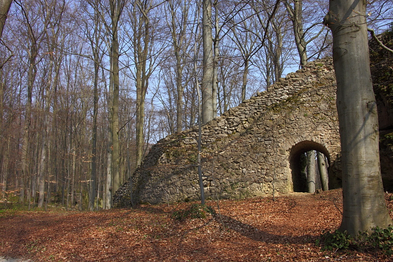 010280.jpg