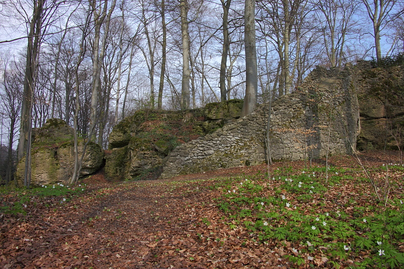 010281.jpg